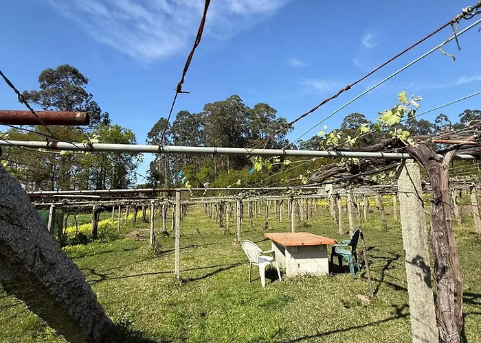 Apartamento Escusas Sanxenxo